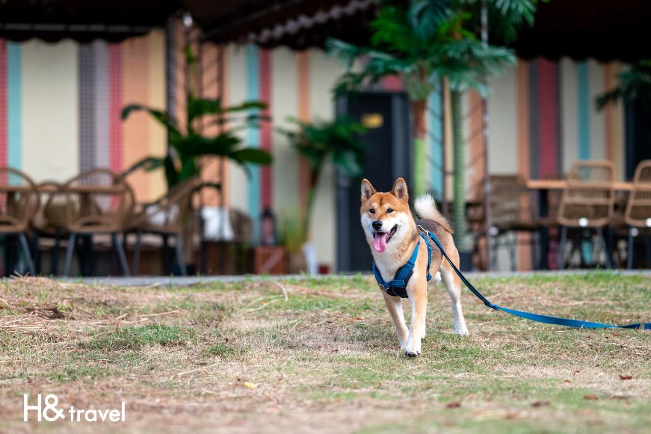Taitung Rainbow Pet Friendly Maison Resort Экстерьер фото