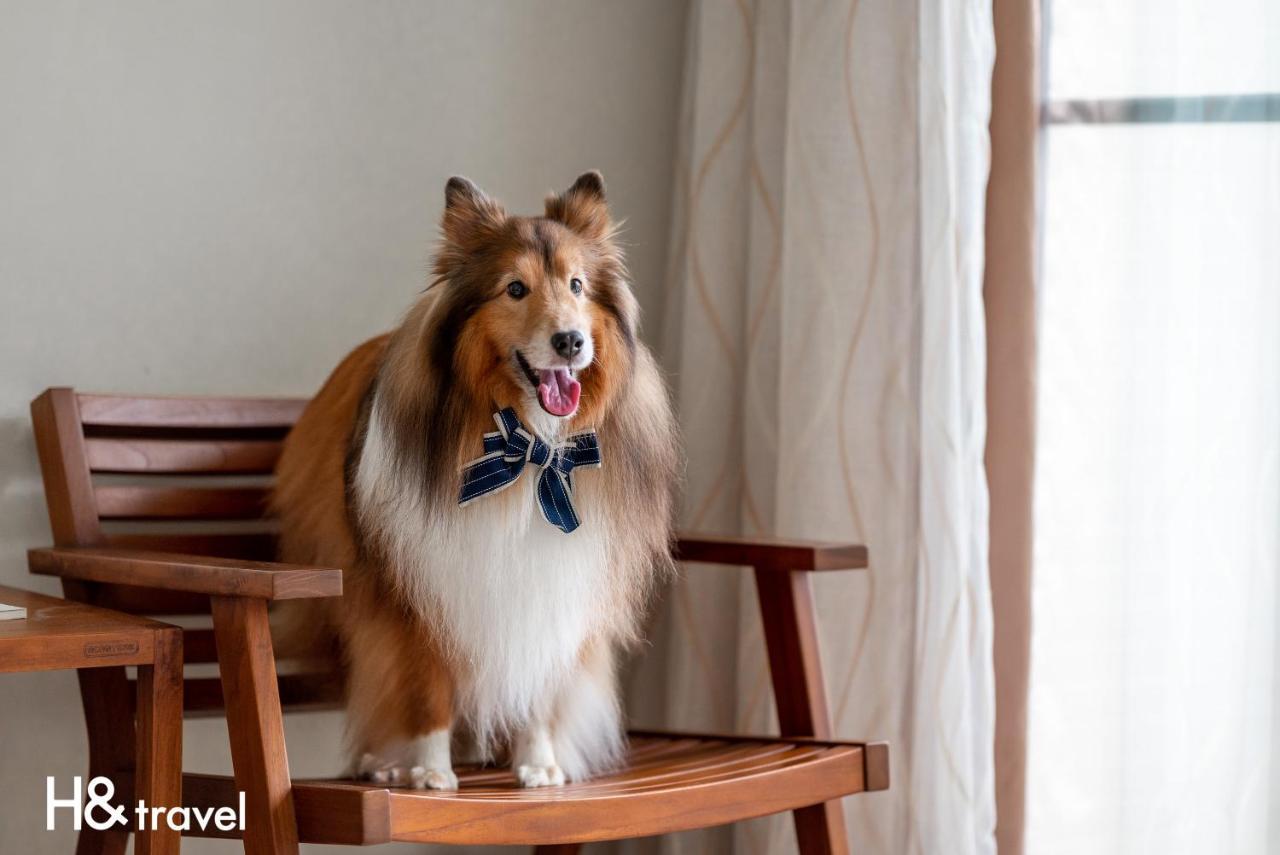 Taitung Rainbow Pet Friendly Maison Resort Экстерьер фото