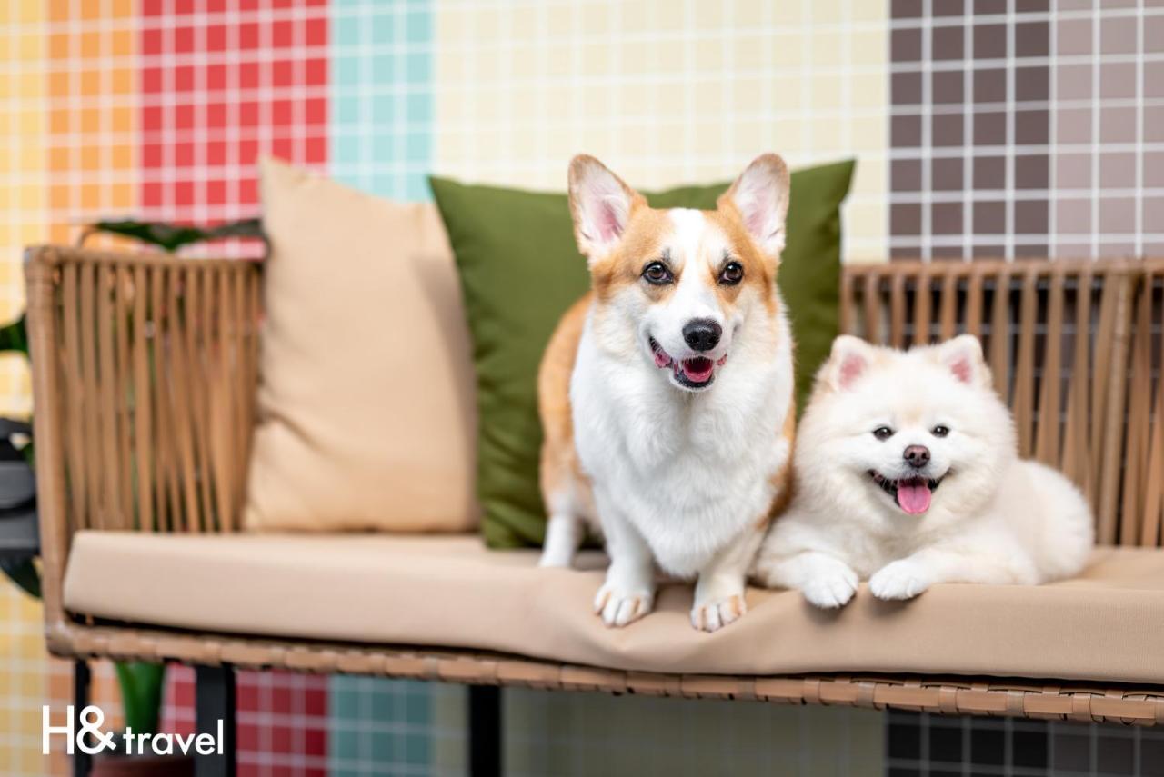 Taitung Rainbow Pet Friendly Maison Resort Экстерьер фото
