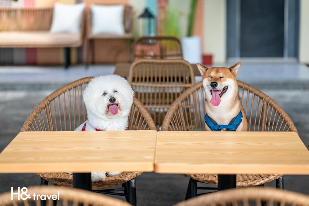 Taitung Rainbow Pet Friendly Maison Resort Экстерьер фото