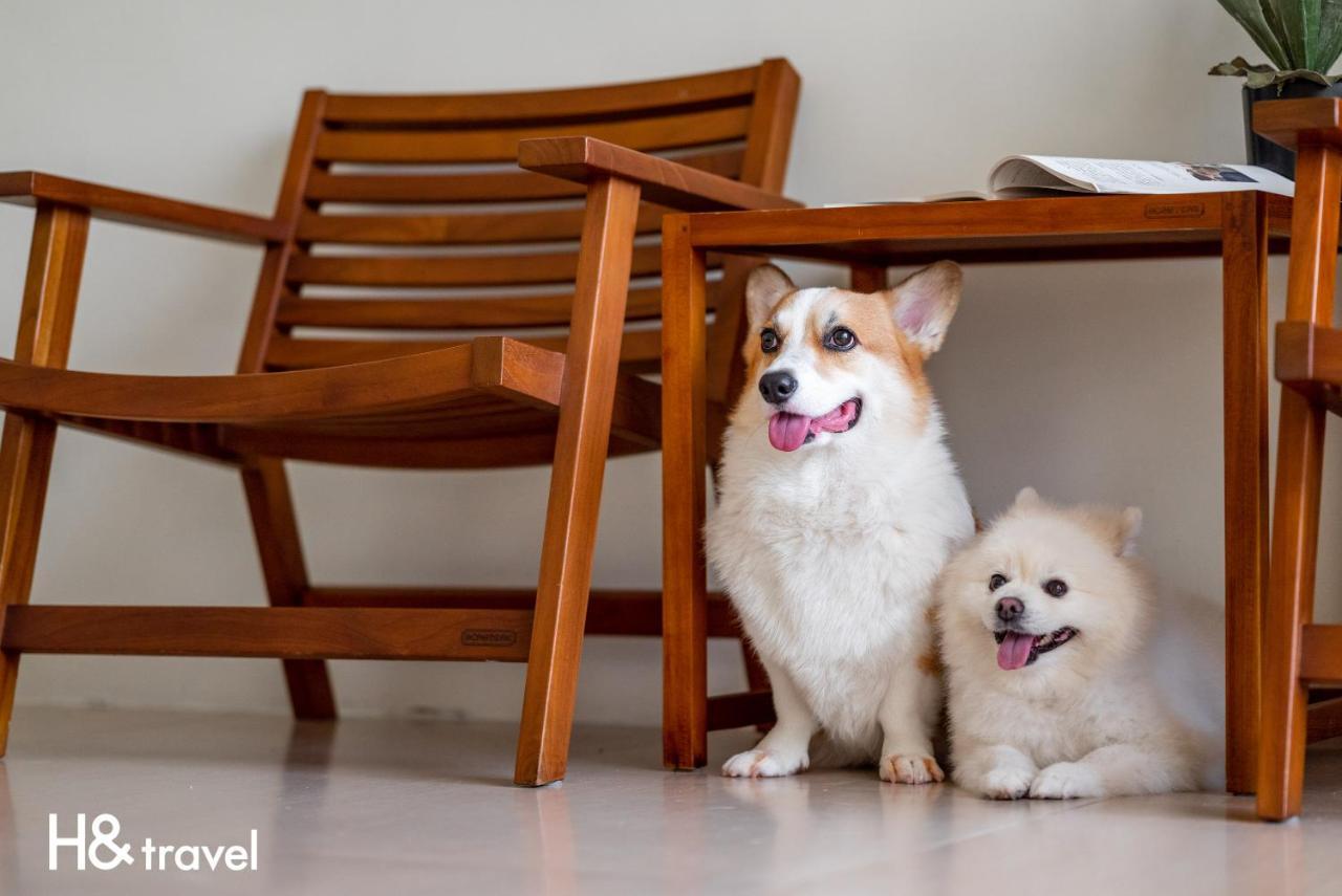 Taitung Rainbow Pet Friendly Maison Resort Экстерьер фото