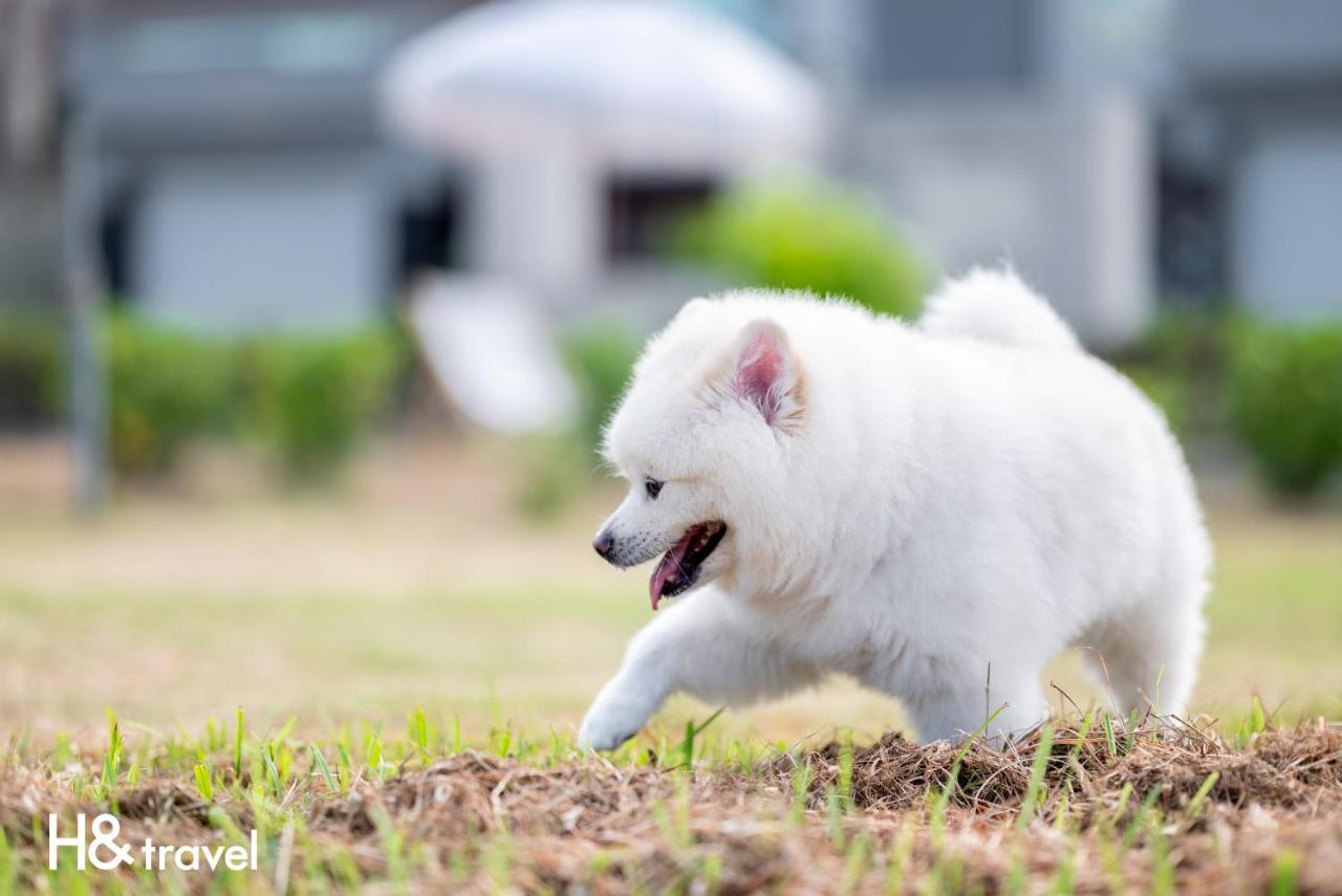Taitung Rainbow Pet Friendly Maison Resort Экстерьер фото