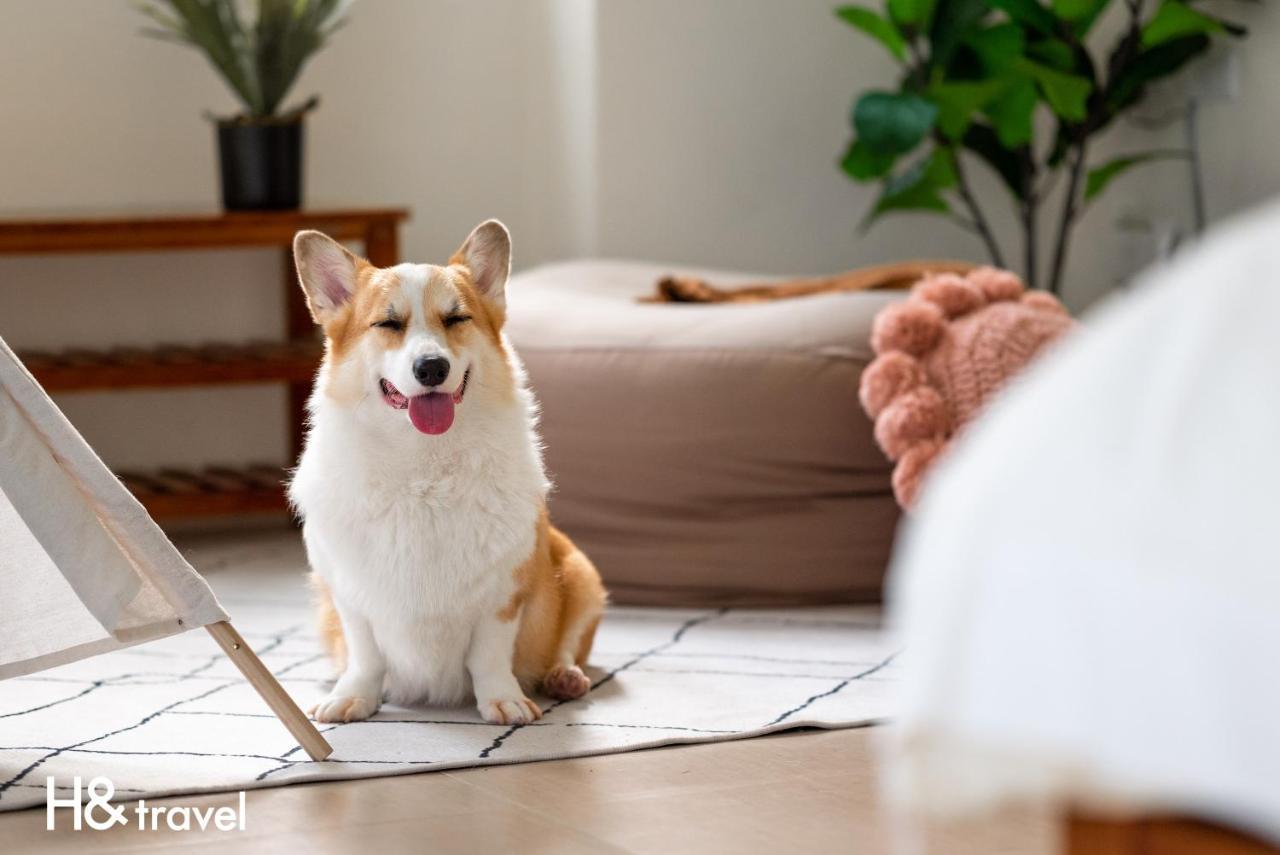 Taitung Rainbow Pet Friendly Maison Resort Экстерьер фото