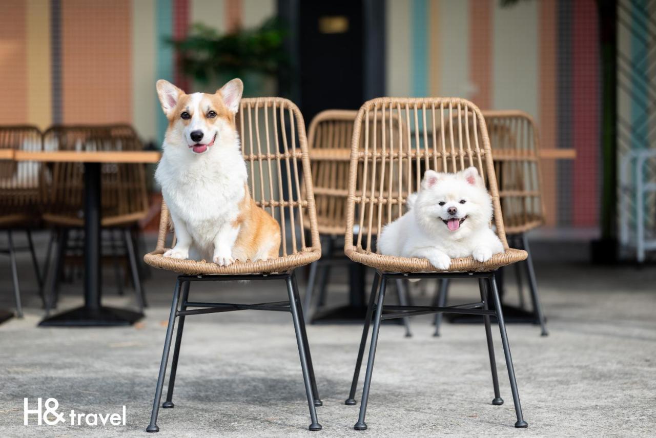 Taitung Rainbow Pet Friendly Maison Resort Экстерьер фото