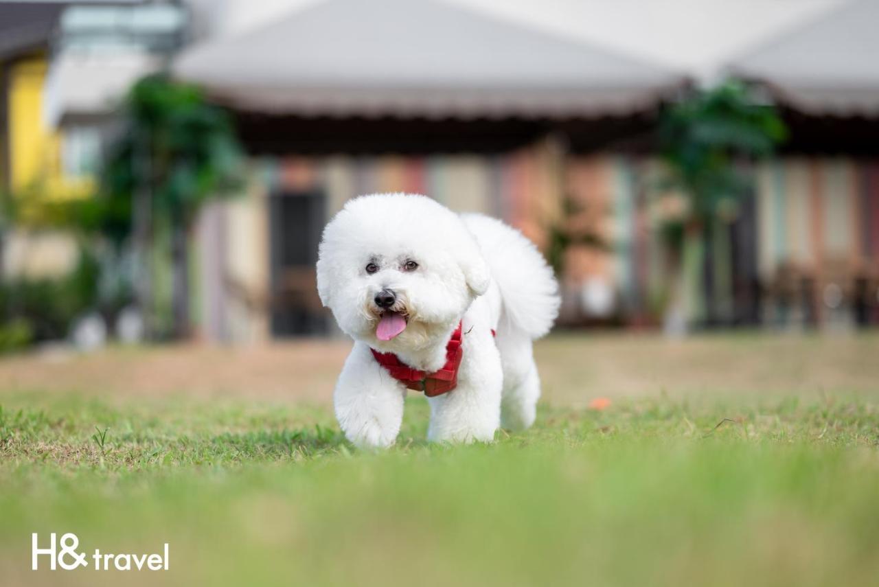 Taitung Rainbow Pet Friendly Maison Resort Экстерьер фото
