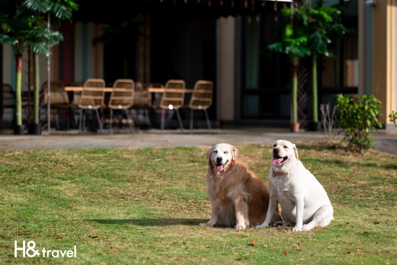 Taitung Rainbow Pet Friendly Maison Resort Экстерьер фото
